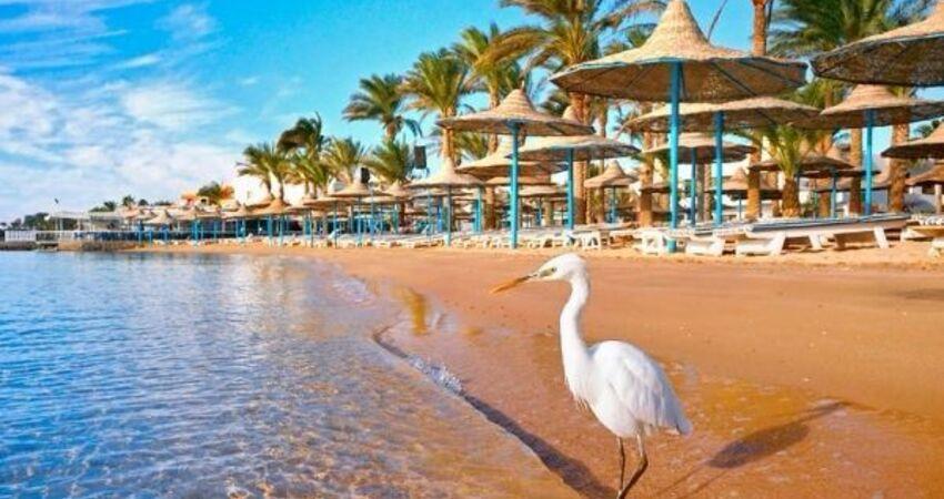 30 HAZİRAN 7 GÜN – MISIR TURU (LUKSOR-ASWAR-HURGHADA) - 1